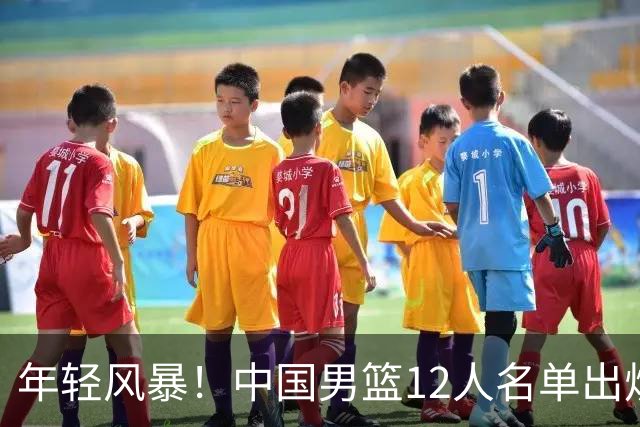 年轻风暴！中国男篮12人名单出炉，杨瀚森扛大旗，内线锋线很强