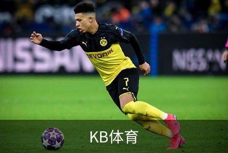 关于KB体育